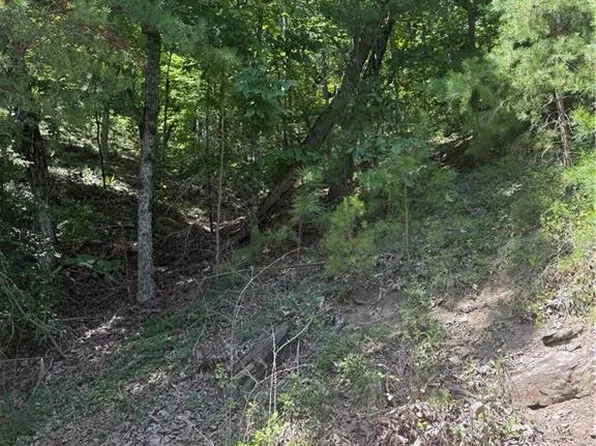 347 Meteor Ct NE #1, Ranger, GA 30734