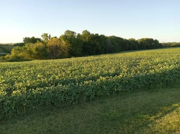 Allamakee Cty Parcel, Harpers Ferry, IA 52146