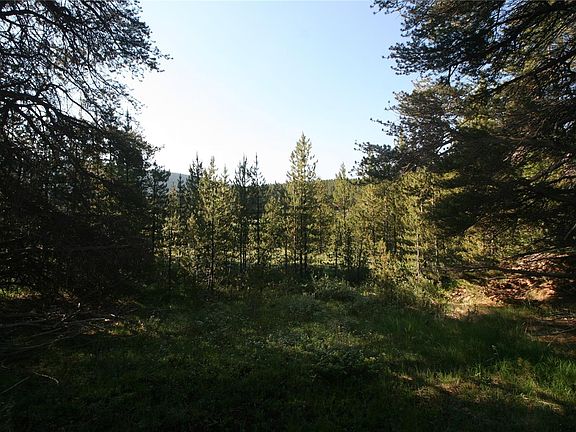 2nd image of 137 Meadows Dr