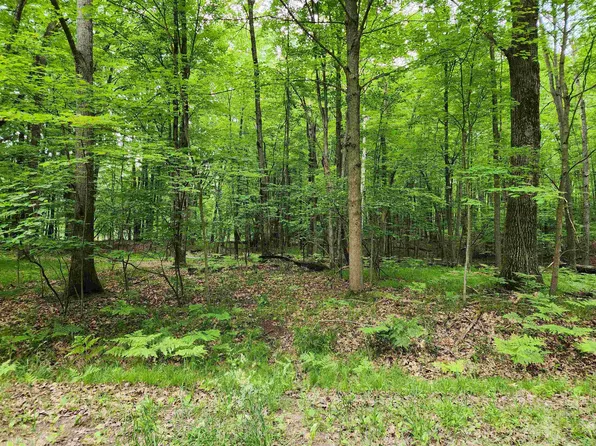 Lot 1043 Spruce Hill, Farwell, MI 48622
