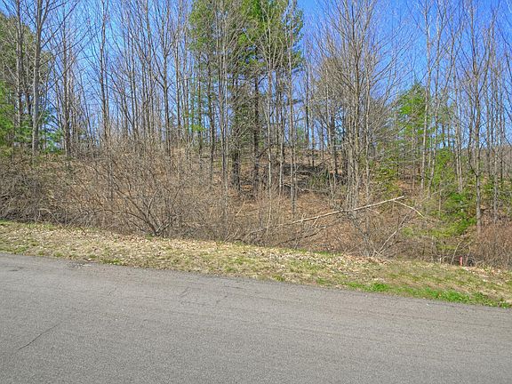 2nd image of LOT 59 S Skye Hill Dr