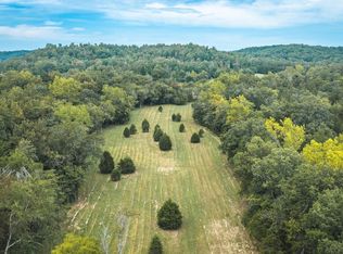 0 County Road 342, Lesterville, MO 63654