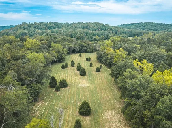 0 County Road 342, Lesterville, MO 63654