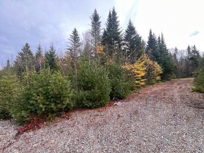 M4 L2-14 Yellow Birch Road, Whiting, ME, 04691
