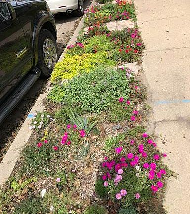 Curbside garden