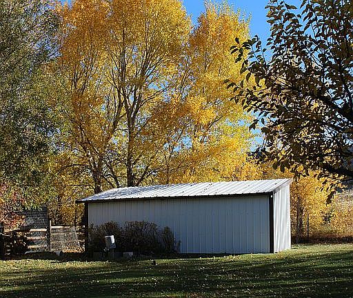 Shed (fall)