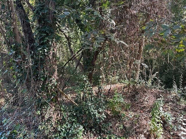 2nd image of 164 Parker Ln