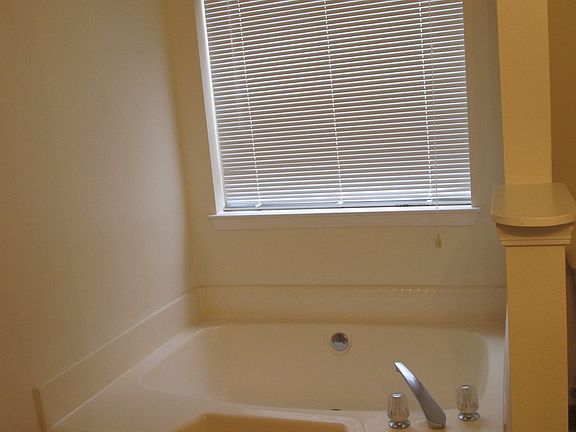 Garden Tub in Master Bathroom