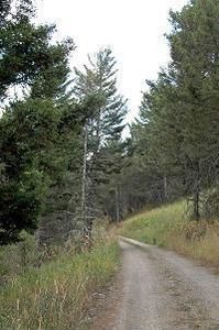 Tbd Saddle Mountain Rd, Bozeman, MT, 59715