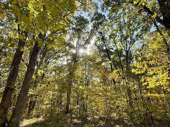 19394 Ivory Ave, Jameson, MO 64647