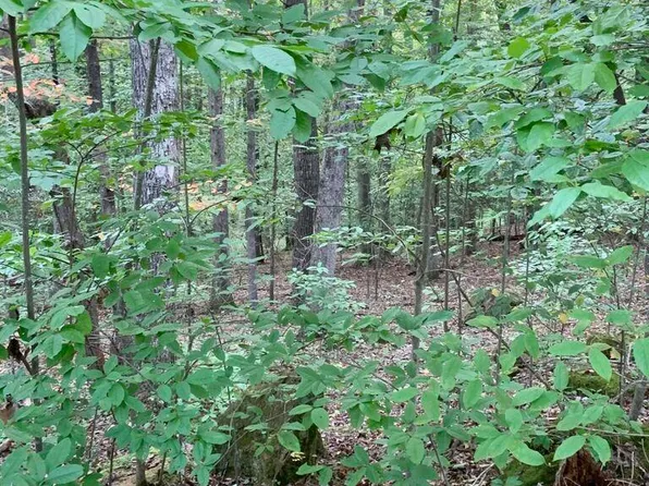 LOT 29 Dominick Cir, Summersville, WV 26651