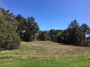 441 Long And Winding Rd, Howey In The Hills, FL 34737