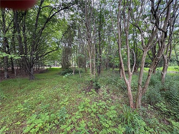 4th image of 207 Cockerham Rd