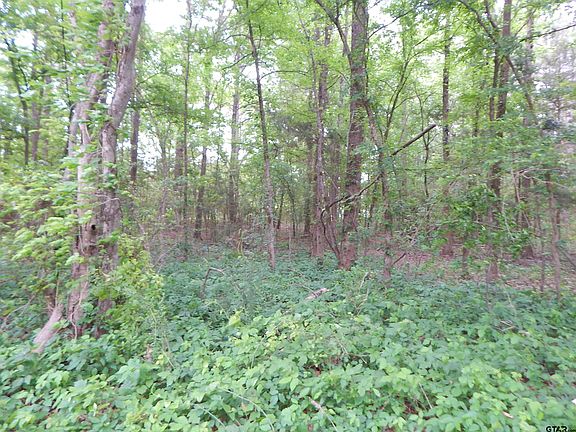 2nd image of Woodchuck Rd