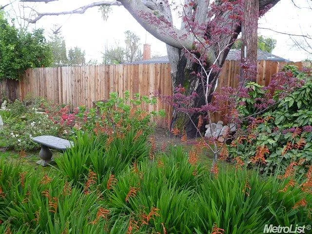 10840 Ballantrae Way photo 1