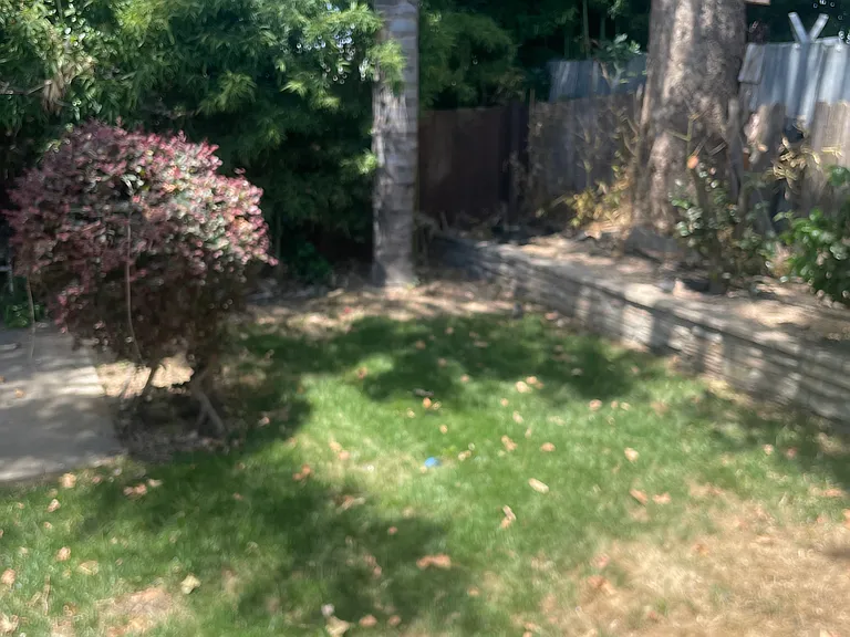 856 Olive St — Photo 4