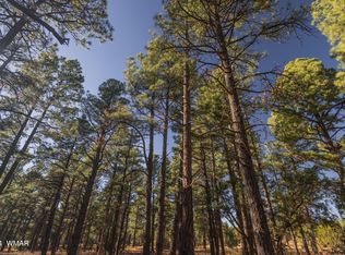 039L Dynamite Rd, Lakeside, AZ 85929