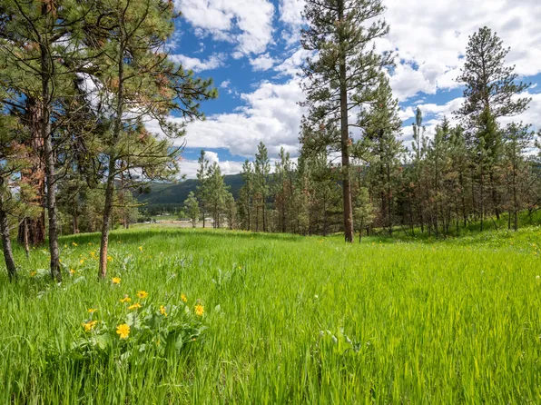 17291 Calamity Ln, Huson, MT 59846