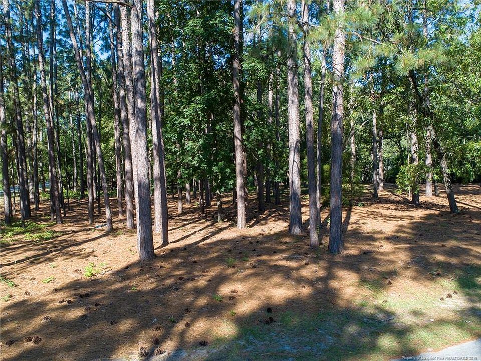2nd image of 2008 Pinewood Ter
