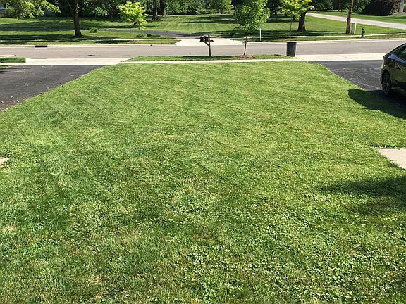Front lawn