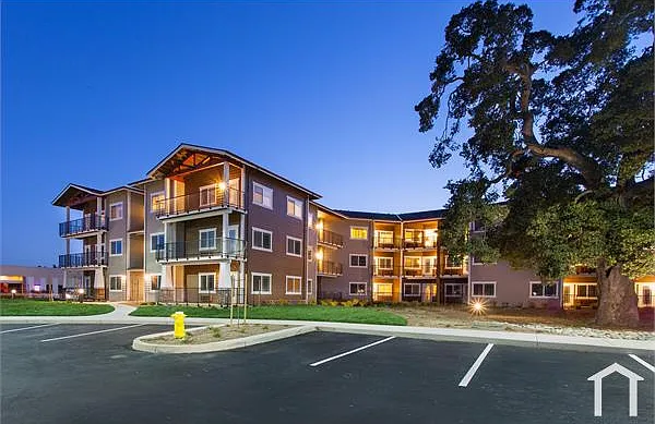 1 bed, 552 sqft, $2,250 — Photo 3