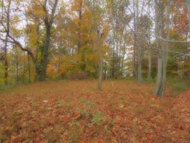 1st image of 0 Lakeview Dr Lot 135