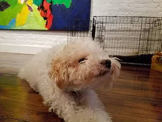 Sold by Tabak Real Estate