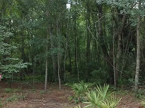 147 Cowboy Rd, Jesup, GA 31545