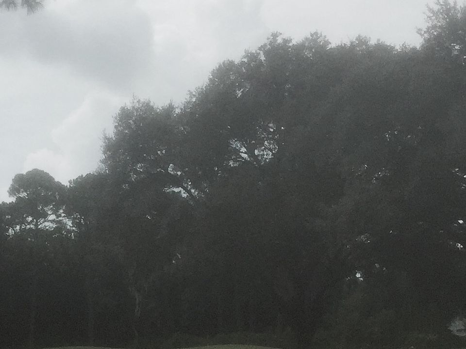 2nd image of 241 Medinah