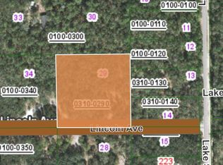 114 Lincoln Ave, Pomona Park, FL 32181