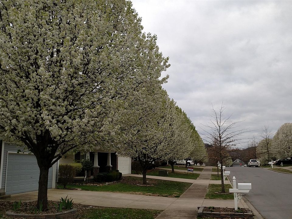 2nd image of 104 Vine Ln