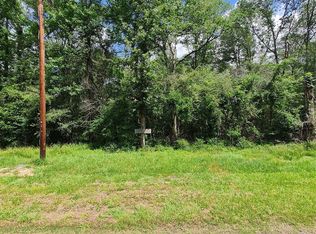 Holly Ln, New Caney, TX 77357