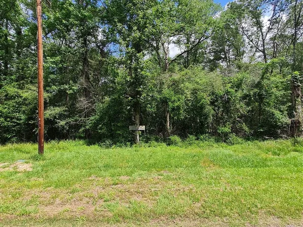 Holly Ln, New Caney, TX 77357