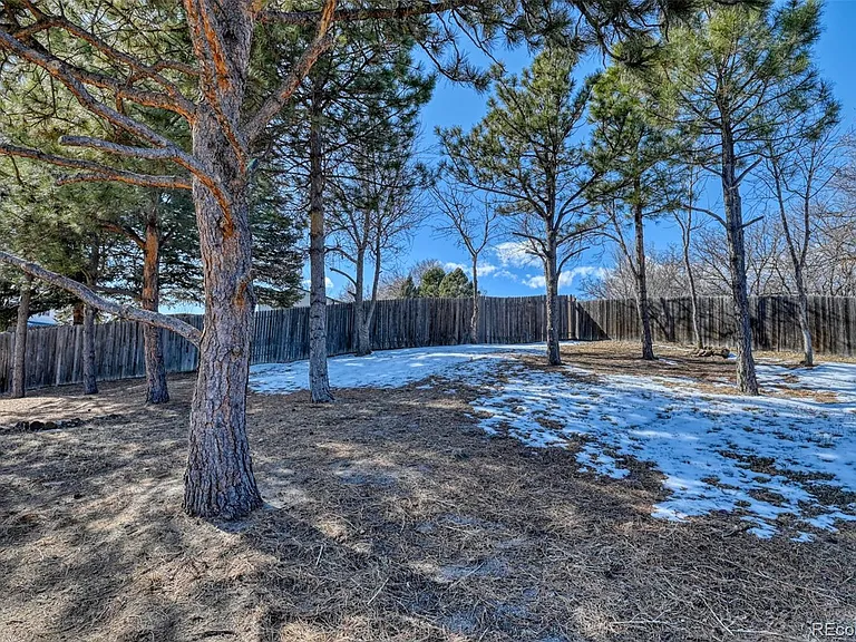 1738 Wooten Rd — Photo 47