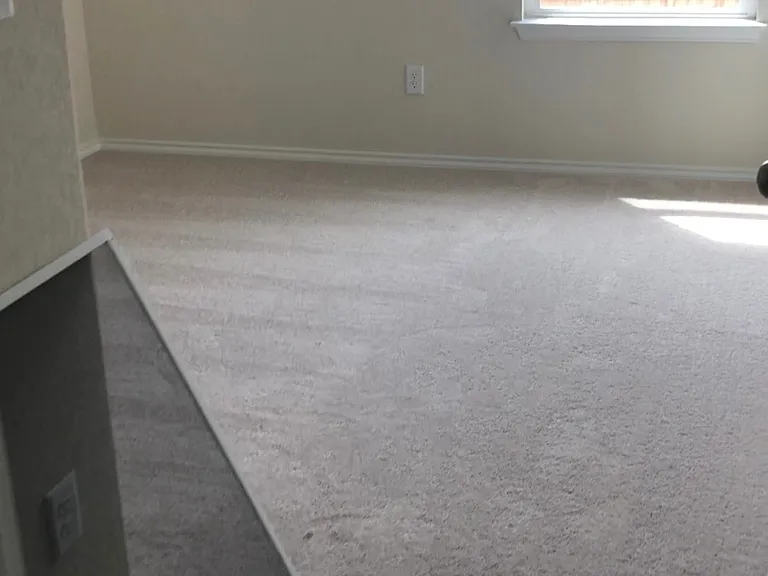 10310 Glimmer — Photo 10