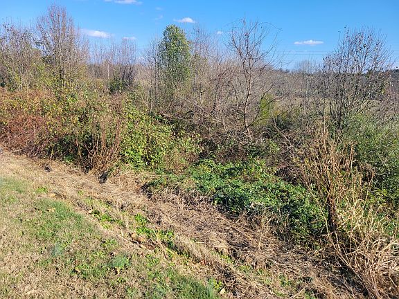 4th image of Tbd Gap Creek Rd