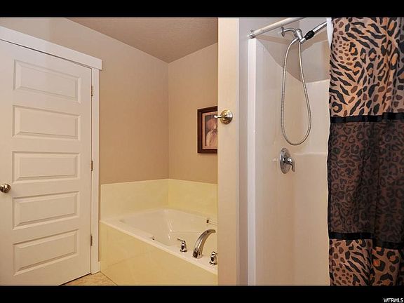 5th image of 3768 W Mandrake View Ct