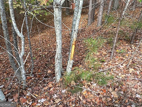 3rd image of 1806 Browning Rd