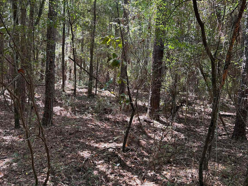 1st image of Sipsey Way