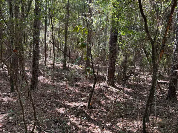 Sipsey Way, Tallahassee, FL 32305