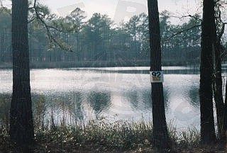 1st image of 92 Bailey Pointe Road