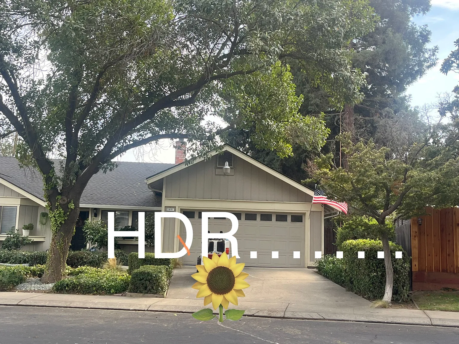 Harbor Dr, Modesto — Photo 4