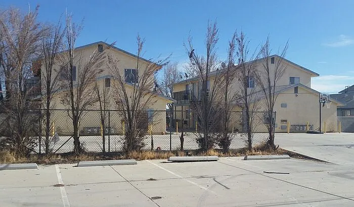 2541 Diamond St #3 — Photo 14