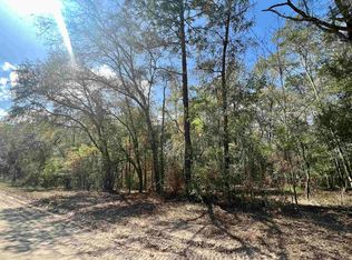 4 NE Ivy Dr, Lee, FL 32059