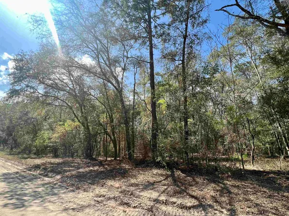 4 NE Ivy Dr, Lee, FL 32059