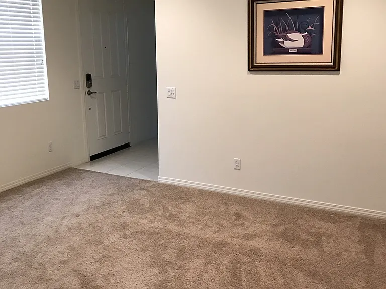 15342 Parsley Leaf Pl — Photo 10