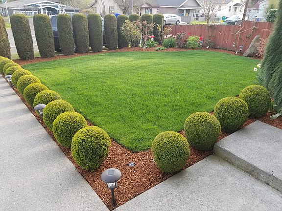 front yard