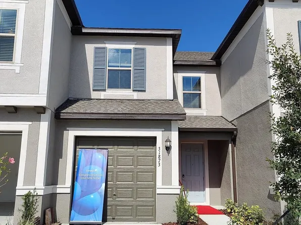 31873 Blue Passing Loop, Wesley Chapel, FL 33545