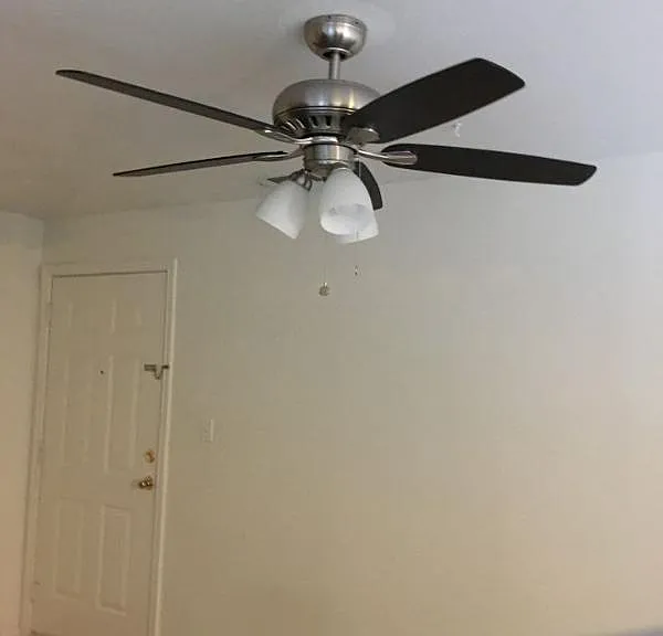 9817 Walnut St #210 — Photo 38