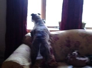 11 Belfast Rd, Peabody, MA 01960